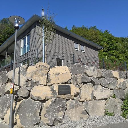 Ferienhaus Schieferterrasse - Waldsee Rieden - Bagian luar foto